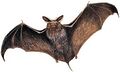 Thumbnail for version as of 14:01, 16 September 2016
